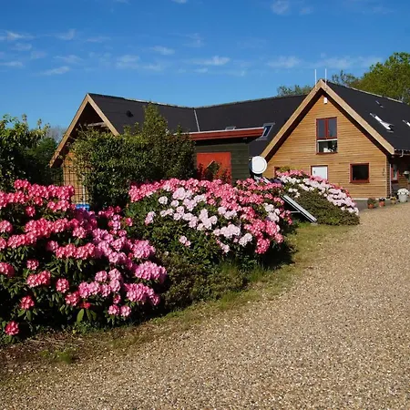 مكان تخييم Hedelandets